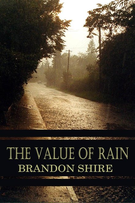 Cover of The Value of Rain by Brandon Shire